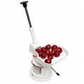 Finalcut Cherry Pitter FI29256